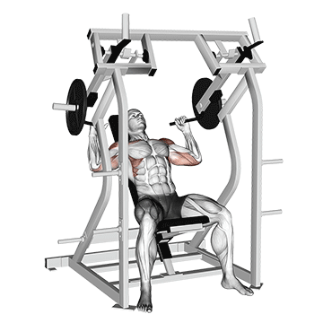 lever shoulder press v2