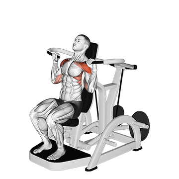lever shoulder press v3