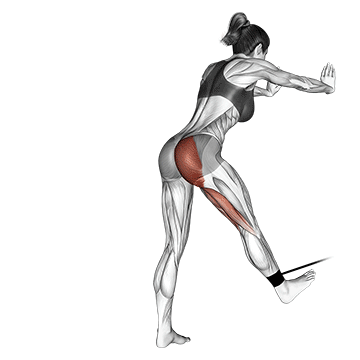 band bent over hip extension