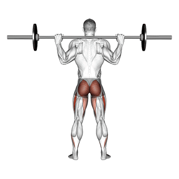 barbell full squat back pov
