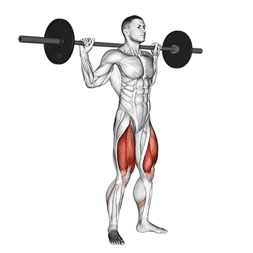 barbell squat