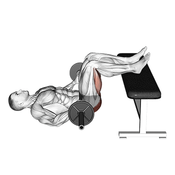barbell glute bridge two legs on bench male