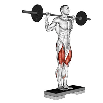 barbell rear lunge v2