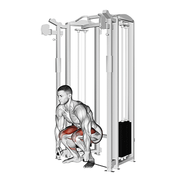cable deadlift
