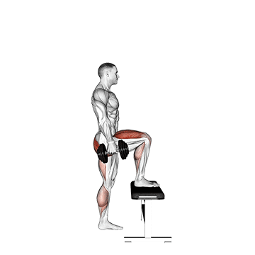 dumbbell step up