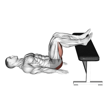 glute bridge two legs on bench male