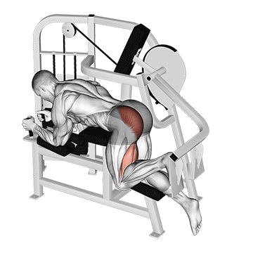lever hip extension v2