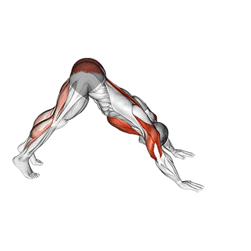 pike to cobra push up