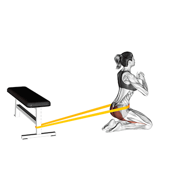 resistance band hip thrusts on knees female