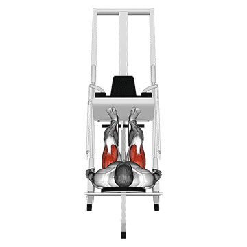 sled 45 leg press back pov