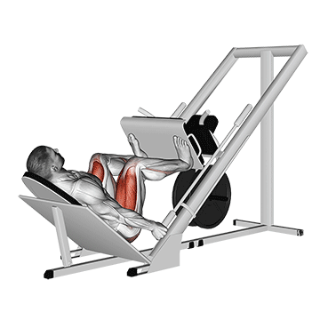 sled 45 leg wide press