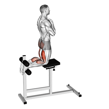 glute ham raise
