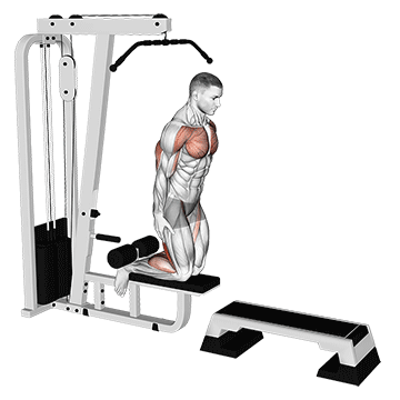inverse leg curl on pull up cable machine
