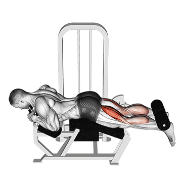 lying leg curl machine