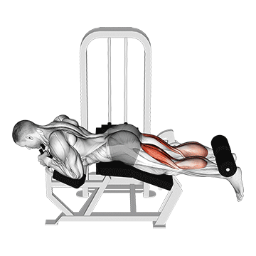 lever lying two one leg curl
