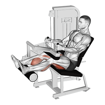 seated leg curl machine
