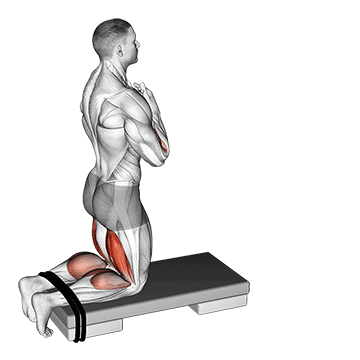 self assisted inverse leg curl 1766
