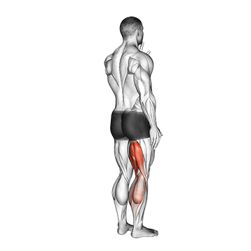standing single leg curl