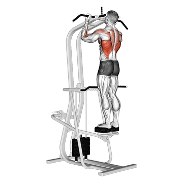 assisted standing chin up