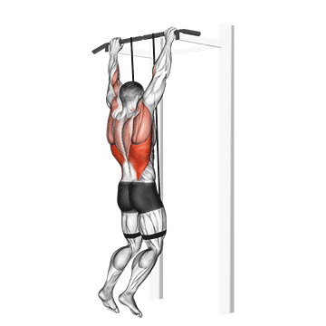 band assisted pull up
