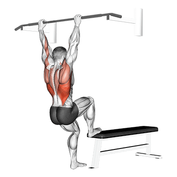 bench pull ups