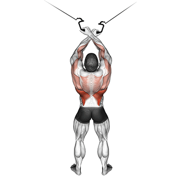 cable cross over lateral pulldown