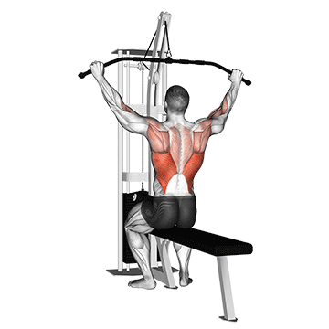 cable pulldown pro lat bar