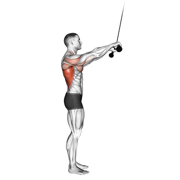 cable pushdown straight arm v2