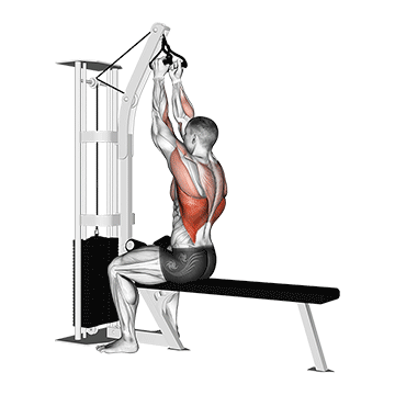 cable seated high row v bar