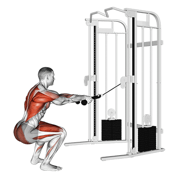 cable squat row with rope attachment