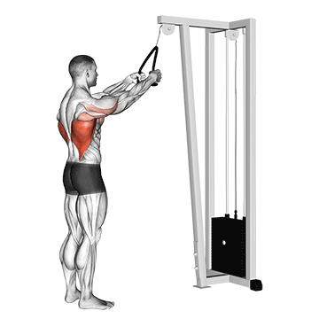 cable straight arm pulldown with rope