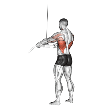straight-arm pulldown