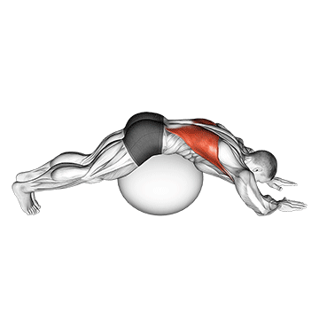exercise ball lower back stretch pyramid