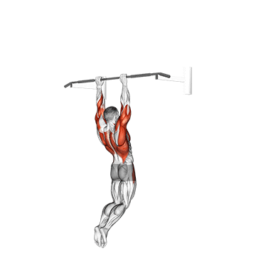 muscle up on vertical bar