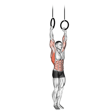 muscle up
