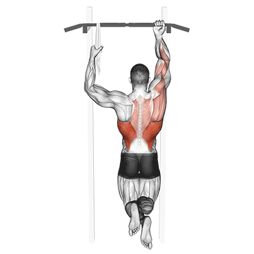 one arm chin up