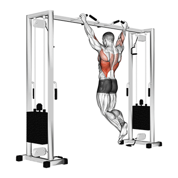 pull up neutral grip