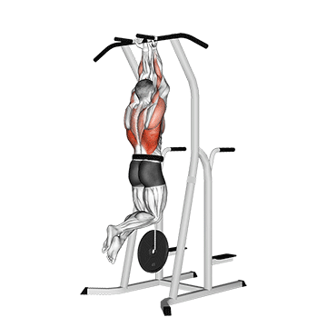 weighted close grip chin up on dip cage