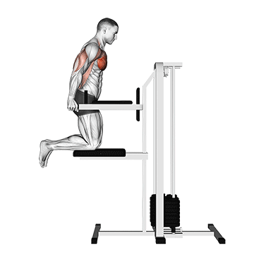 assisted chest dip kneeling