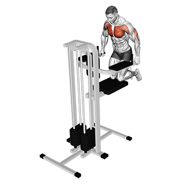 assisted wide grip chest dip kneeling