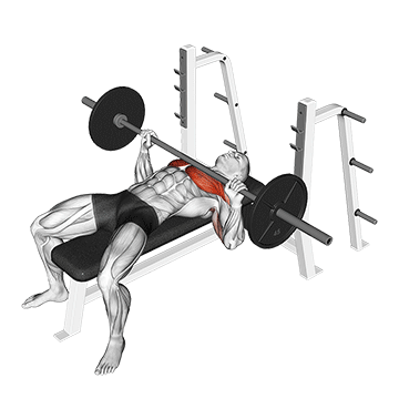 flat bench press