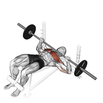 decline bench press