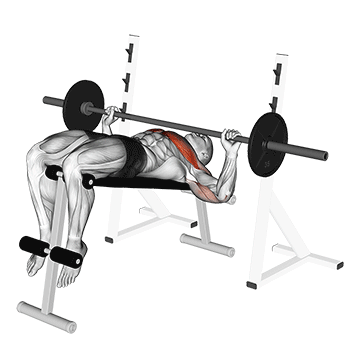 barbell decline wide grip press