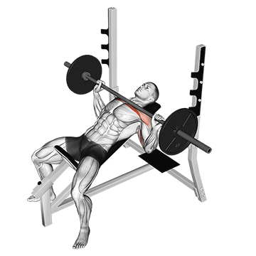 incline bench press