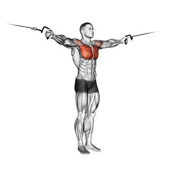 cable cross over variation