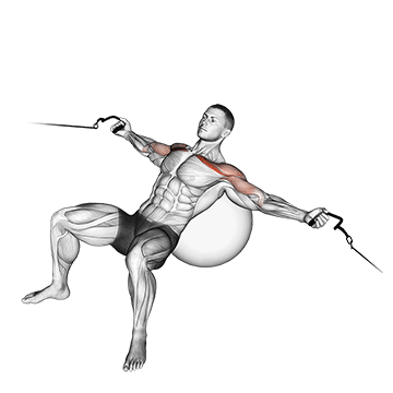 cable incline fly on stability ball