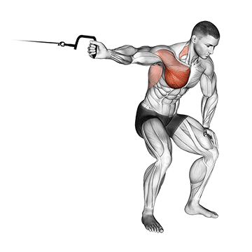 cable one arm lateral bent over