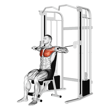 cable chest press