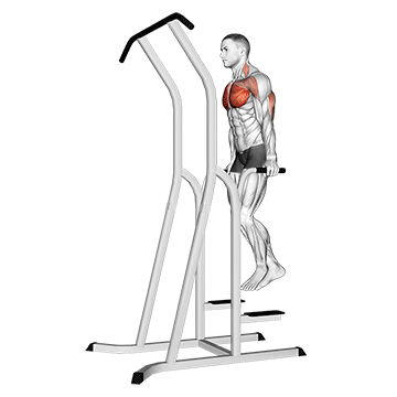 chest dip on dip pull up cage