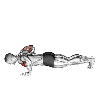 chest tap push up male